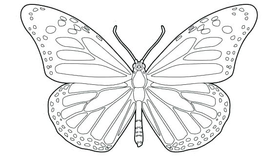 butterfly coloring pages for kindergarten