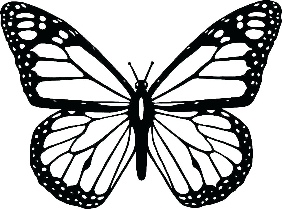 butterfly coloring pages online
