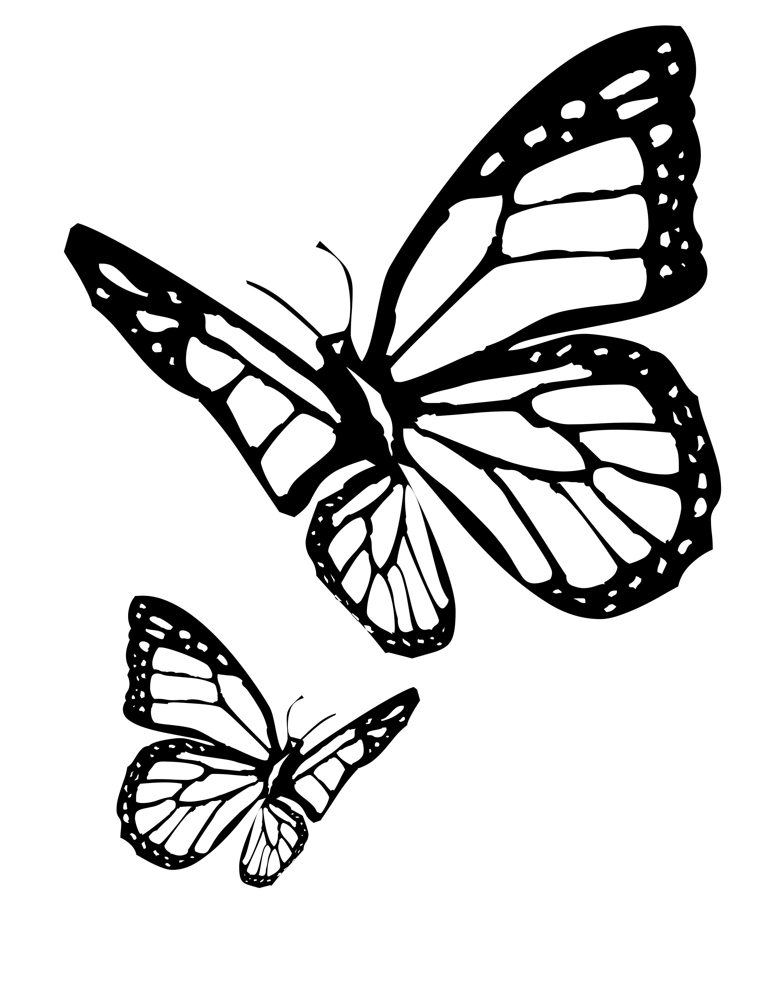 butterfly coloring pages pdf