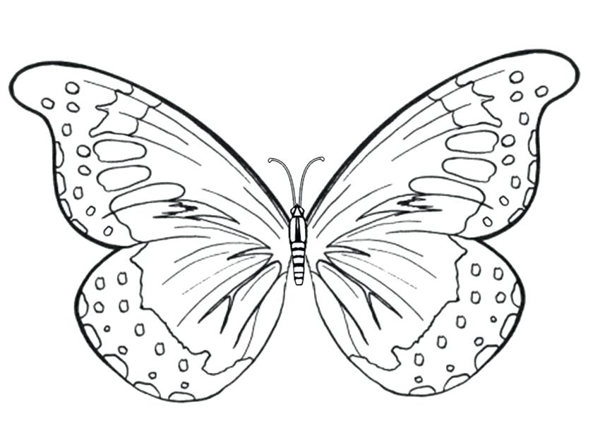 butterfly coloring pages preschool