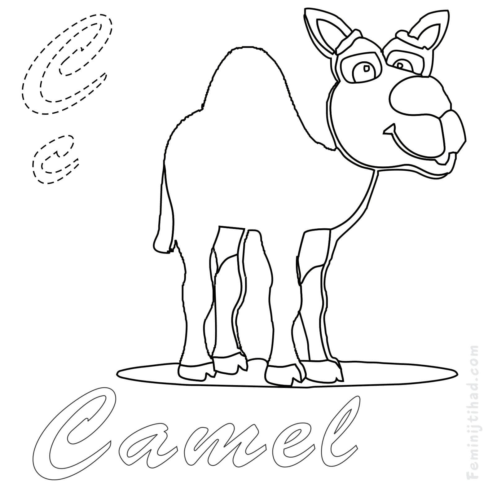 c is for camel coloring page