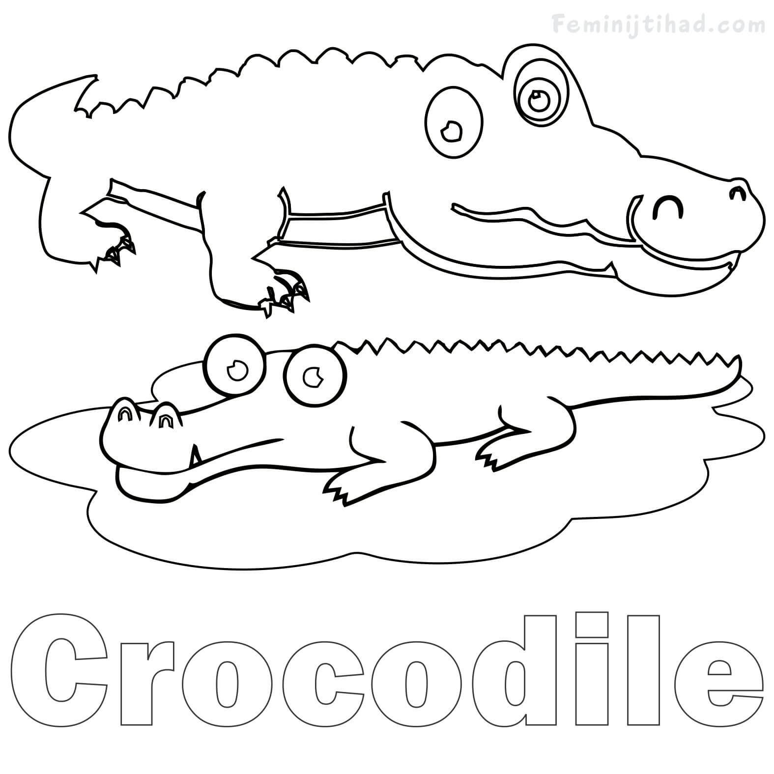 c is for crocodile coloring page