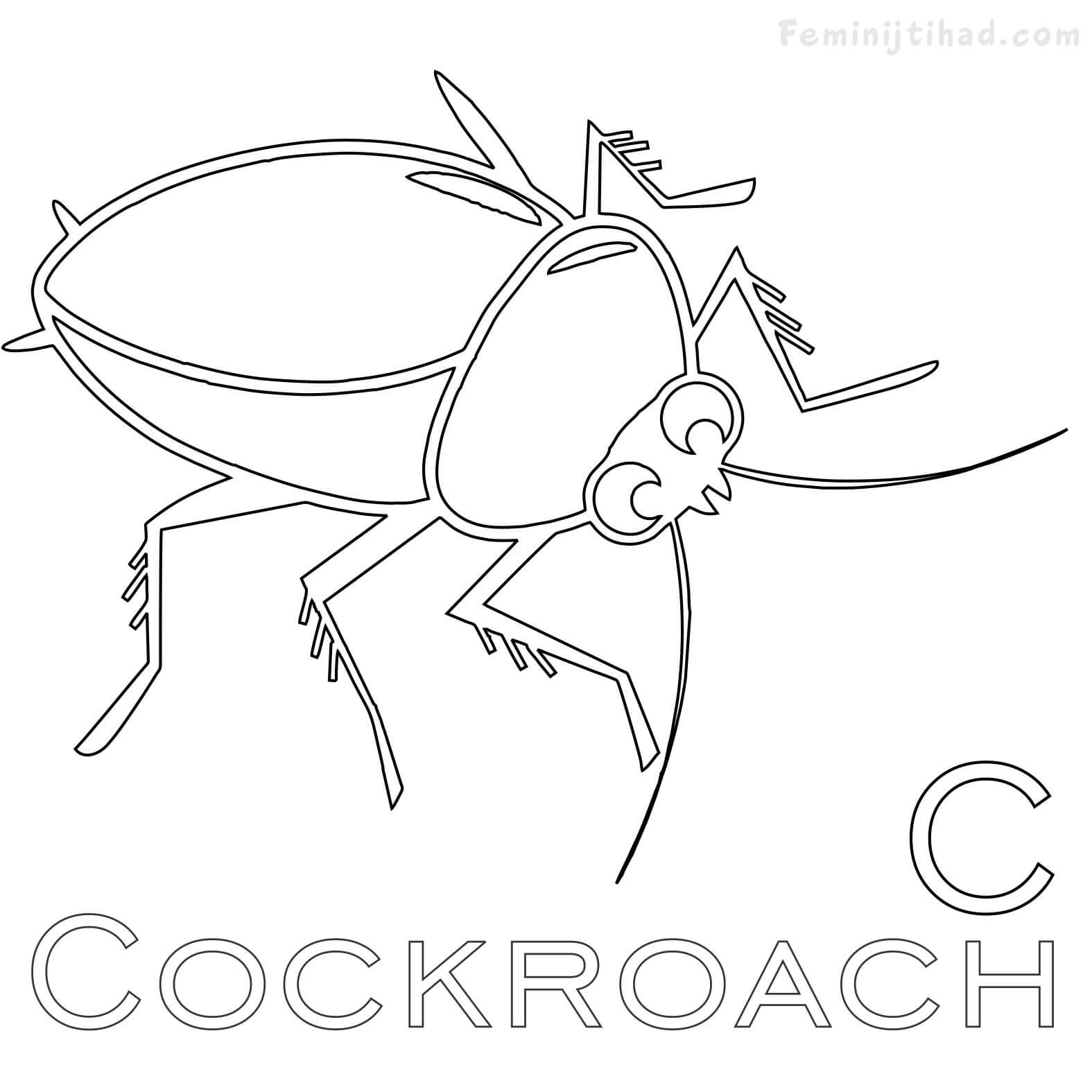 c for cockroach coloring page
