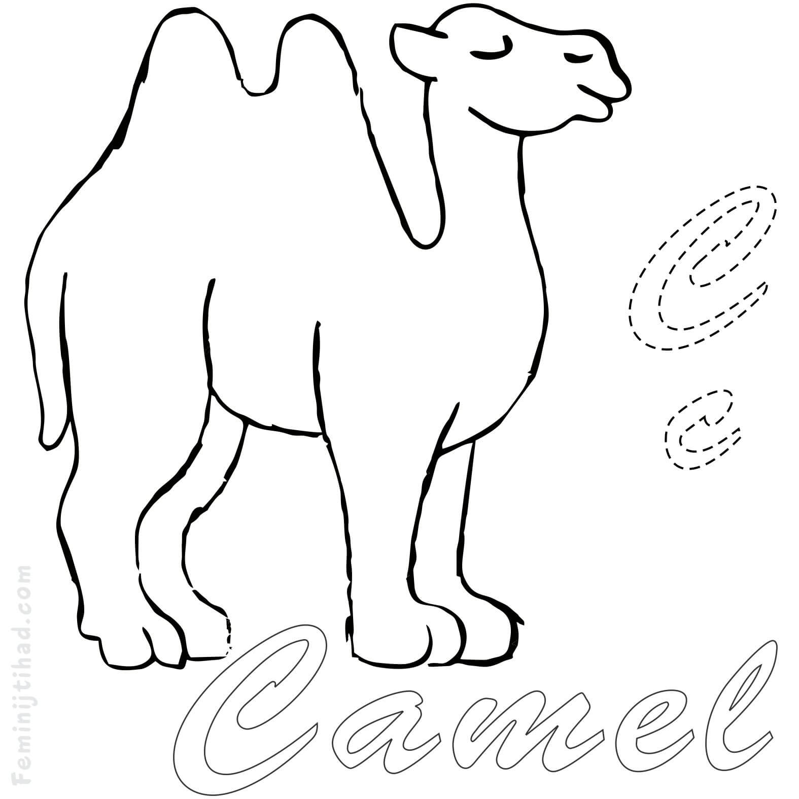 camel coloring pages to print
