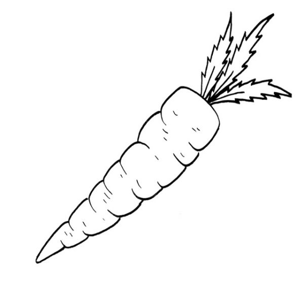 carrot coloring sheet to print