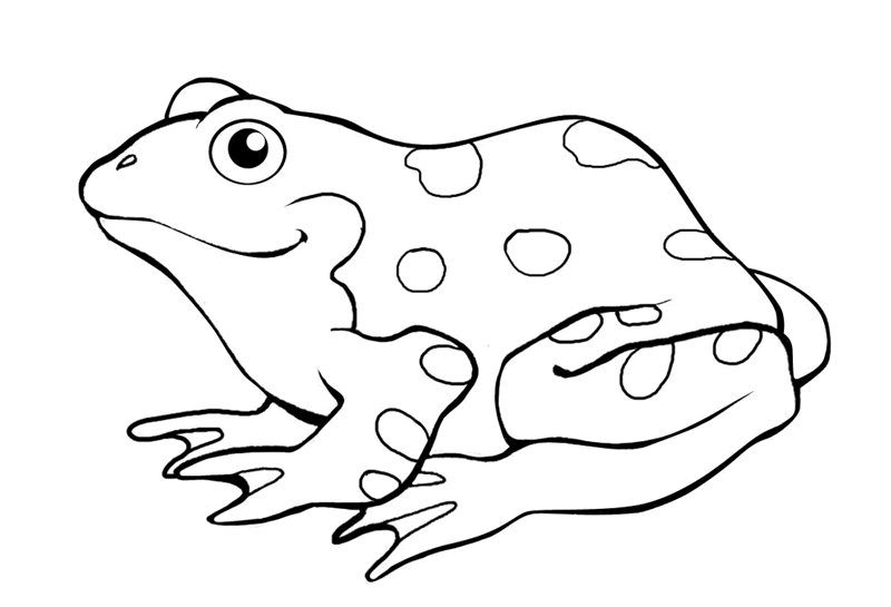 cartoon frog coloring pages