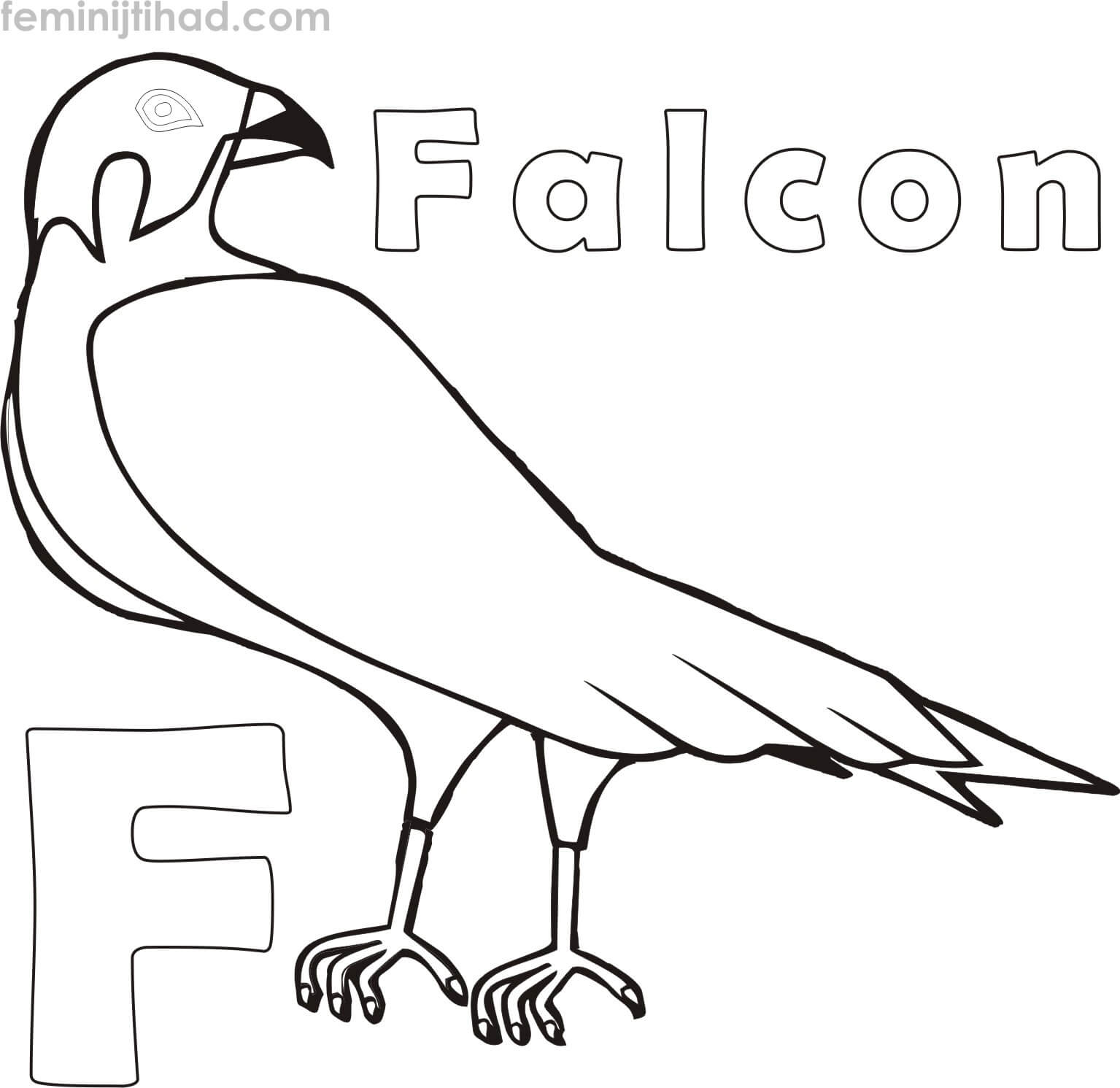 cartoon falcon coloring page