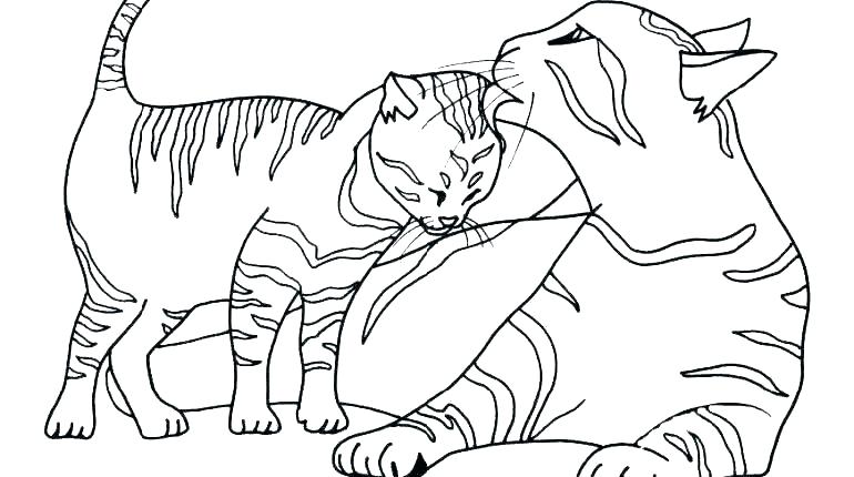 cat and kitten coloring pages