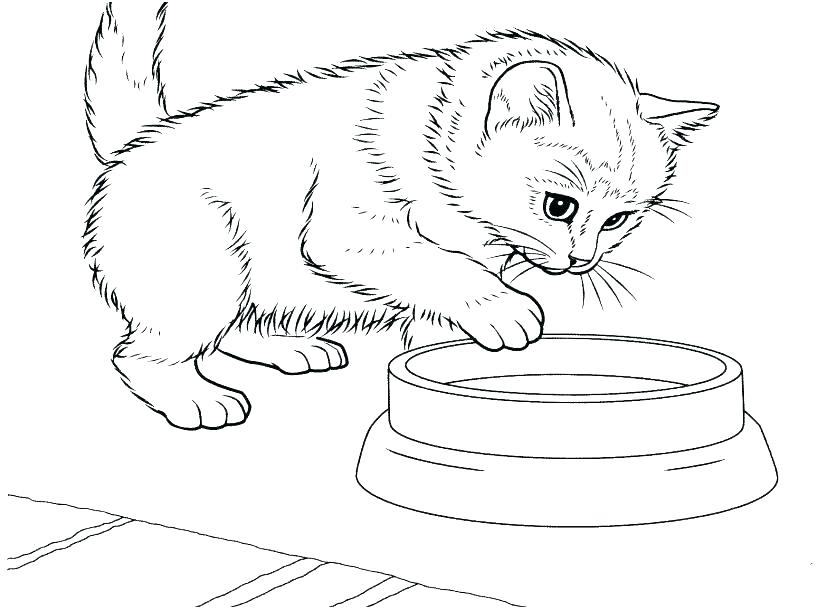 cat coloring pages free printable