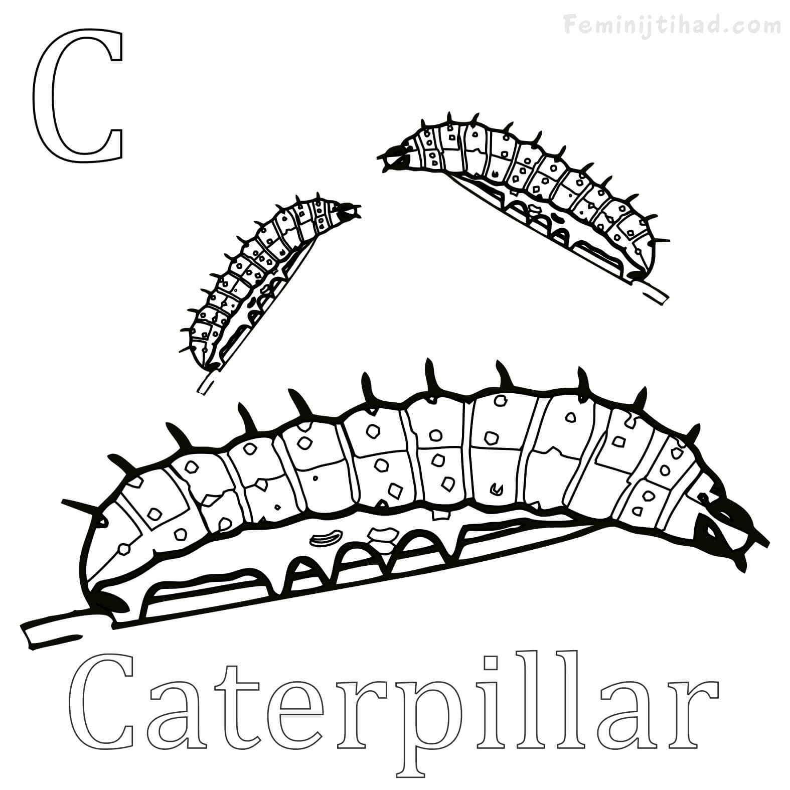 caterpillar on a leaf coloring page