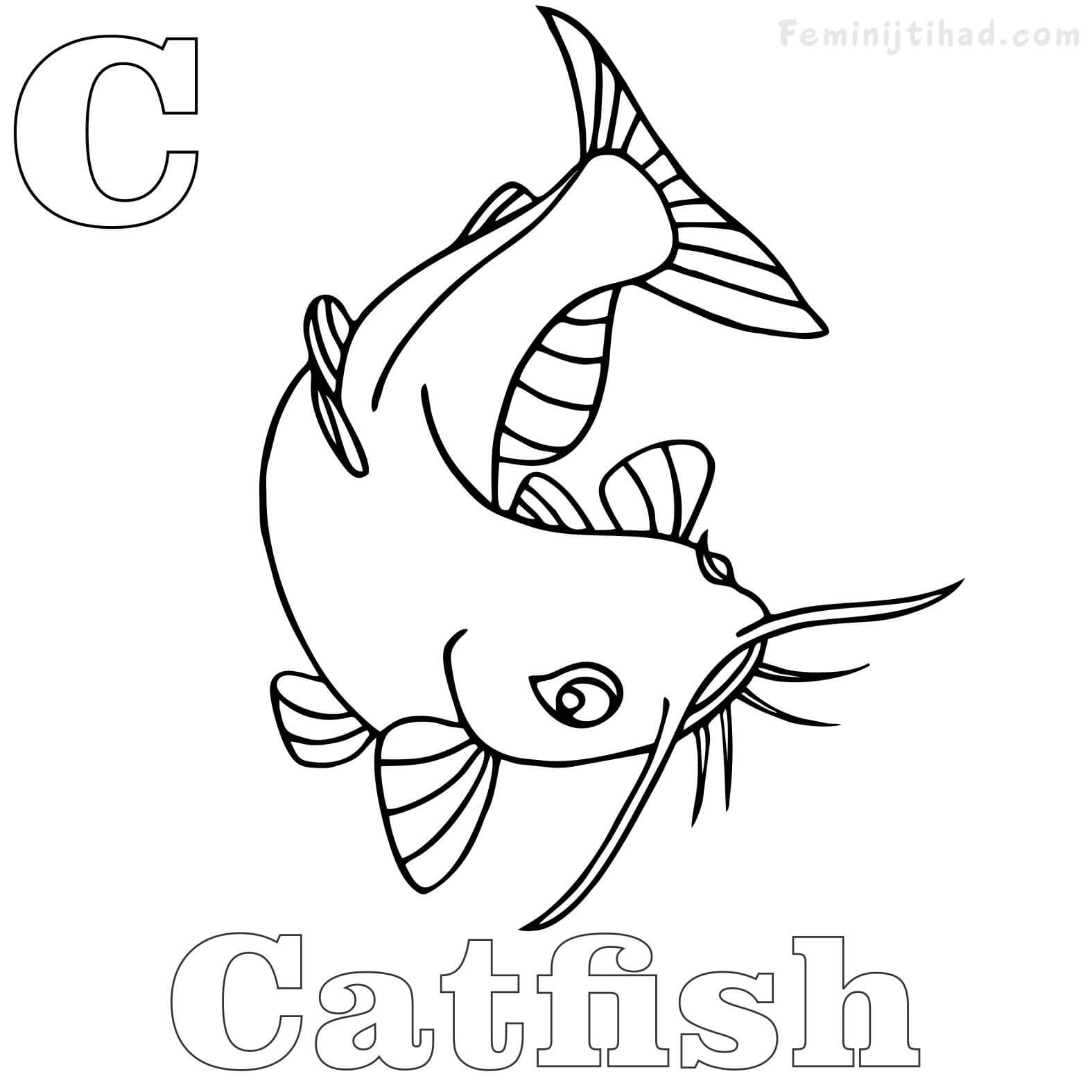 catfish coloring book pages