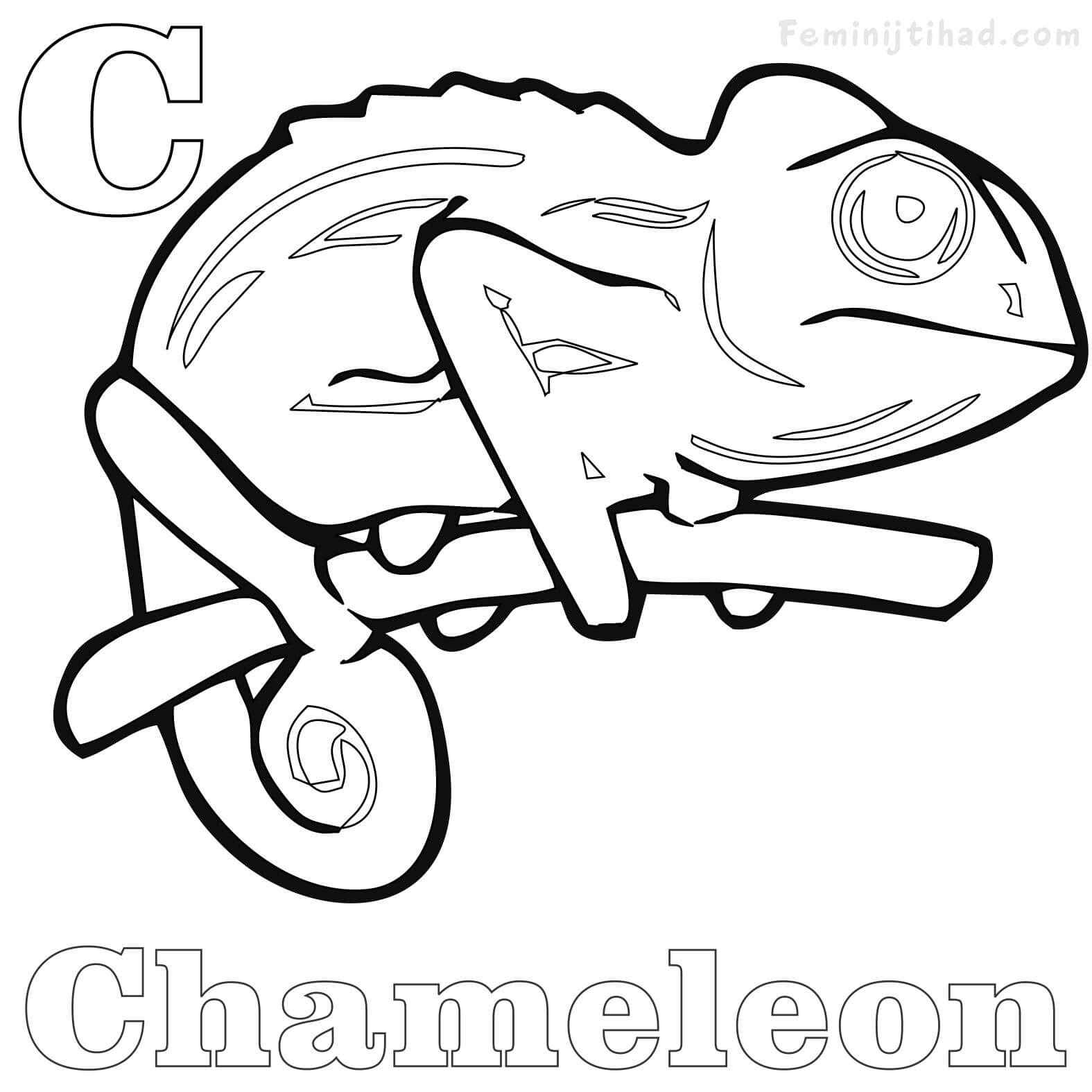 chameleon coloring book page