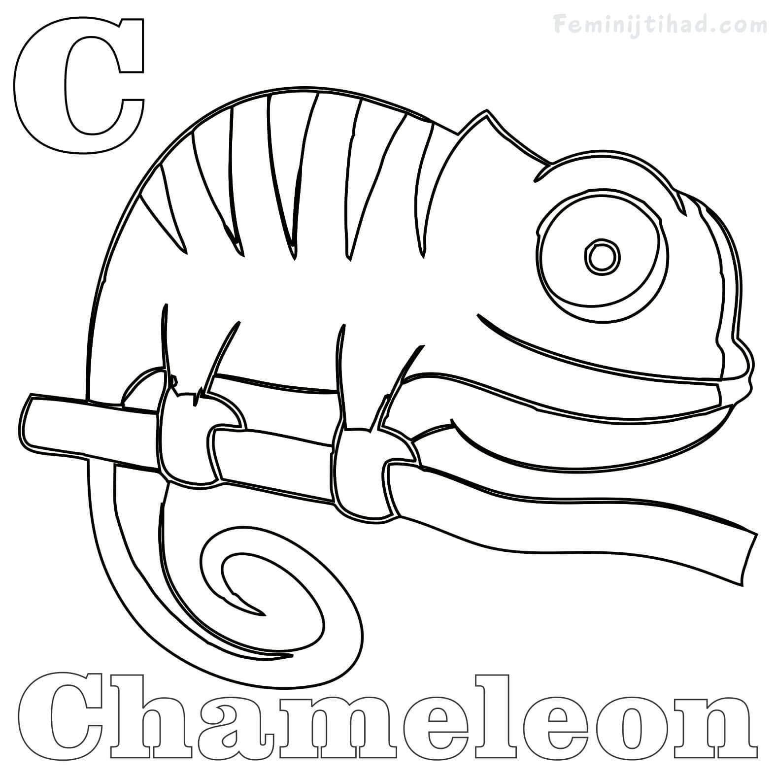 chameleon coloring page free
