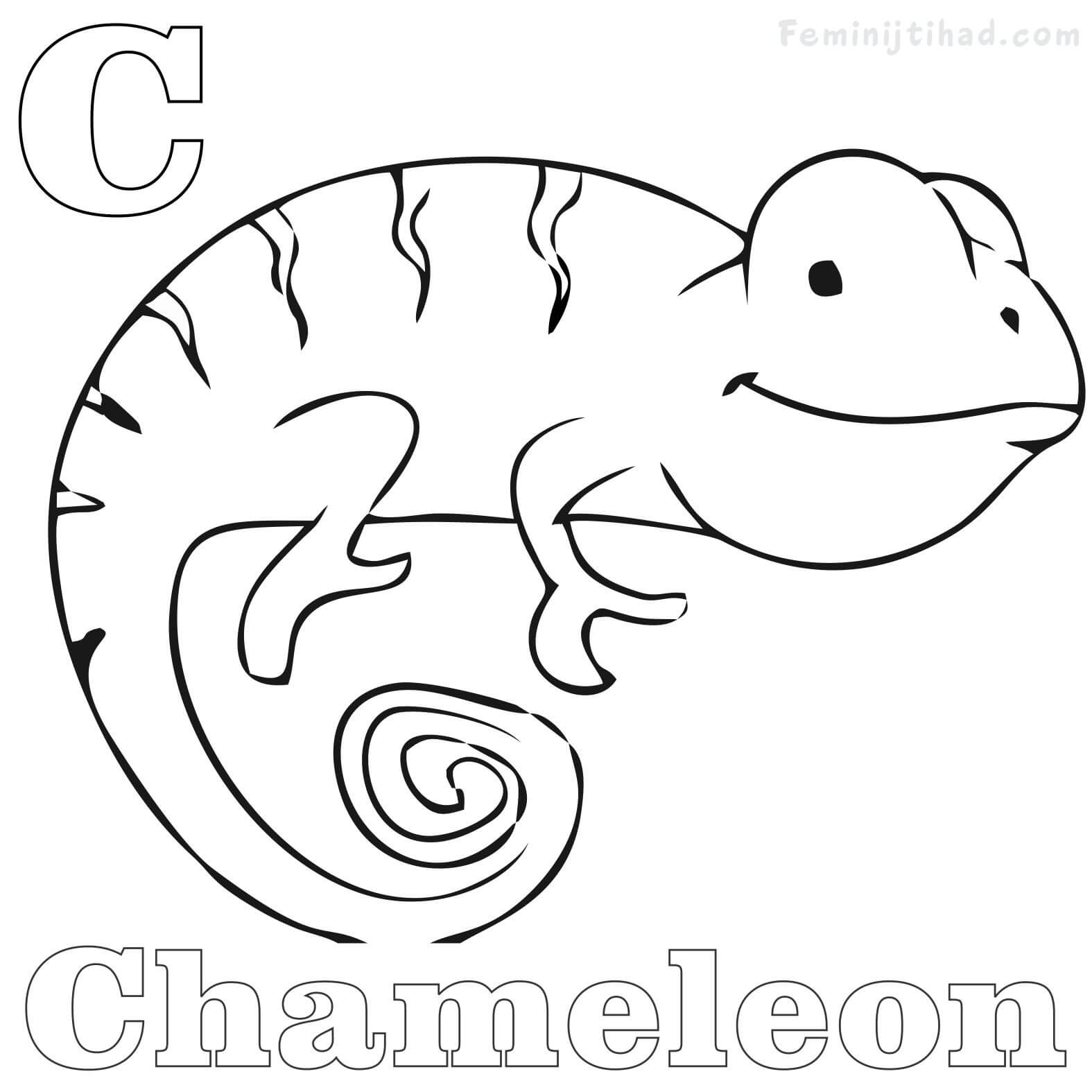 chameleon coloring page printable