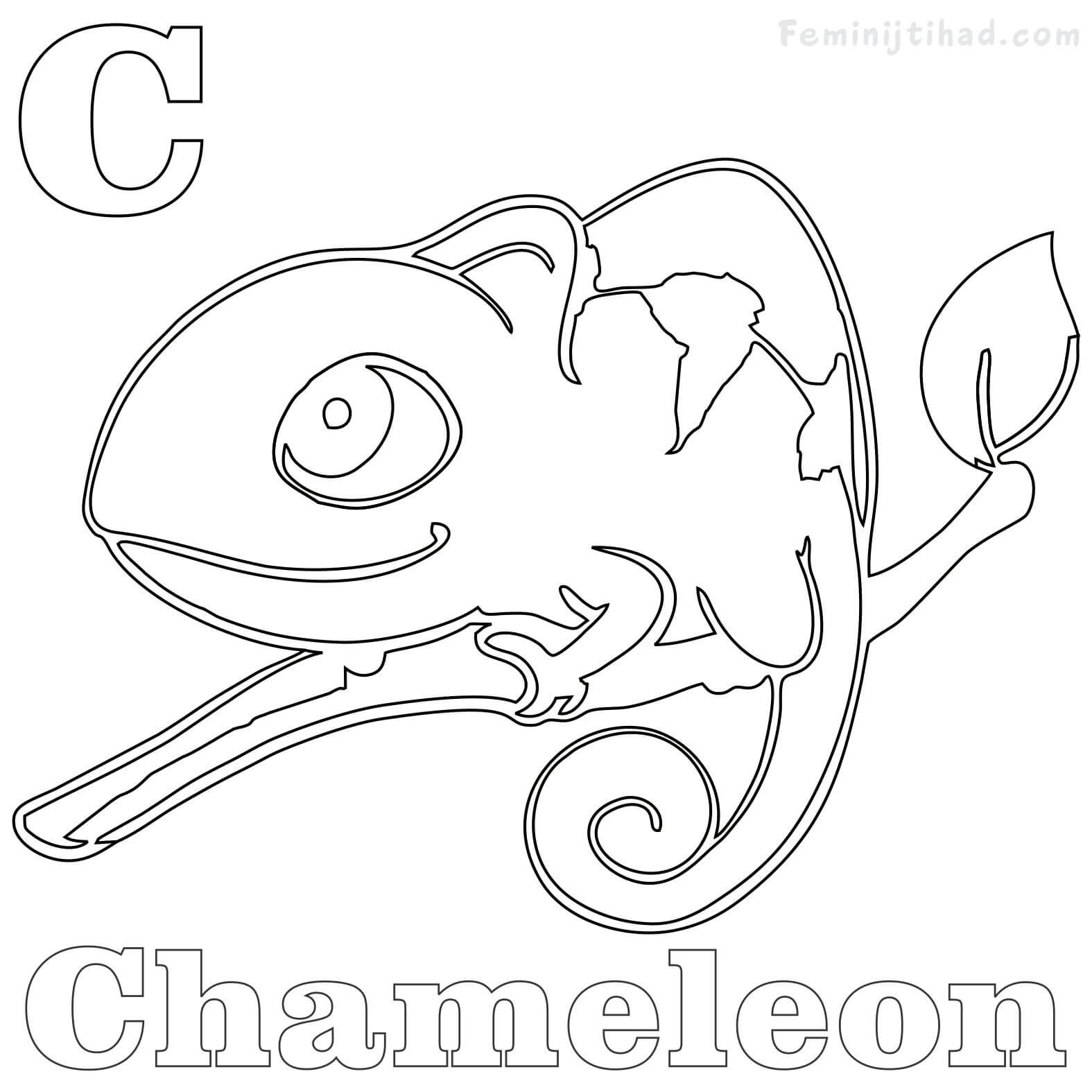 chameleon coloring pages to print