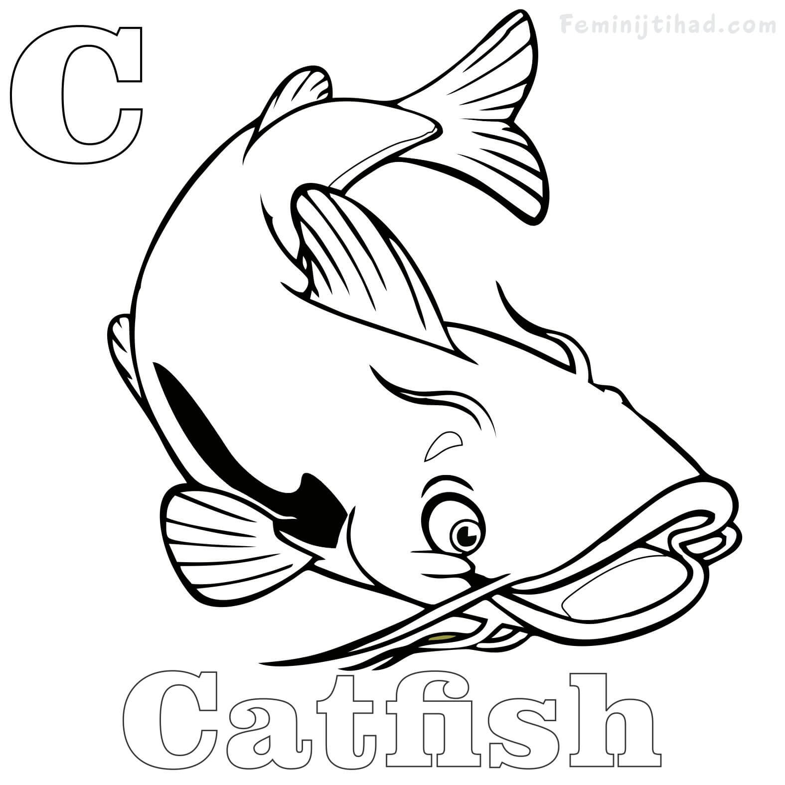 channel catfish coloring page