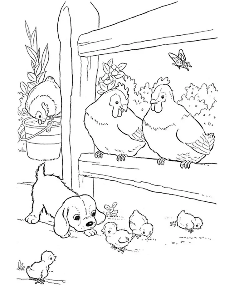 chicken coloring pages for adults
