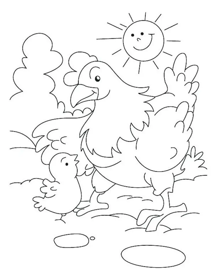 free printable chicken coloring pages