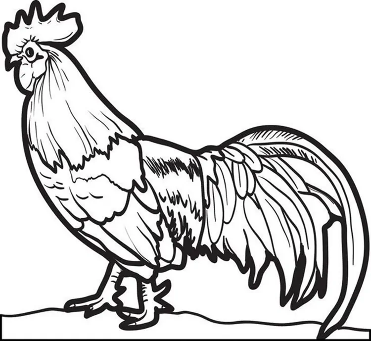 baby chicks ducks coloring pages