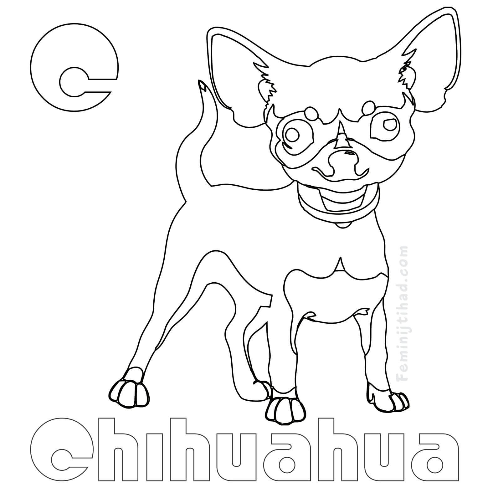 chihuahua coloring pages print