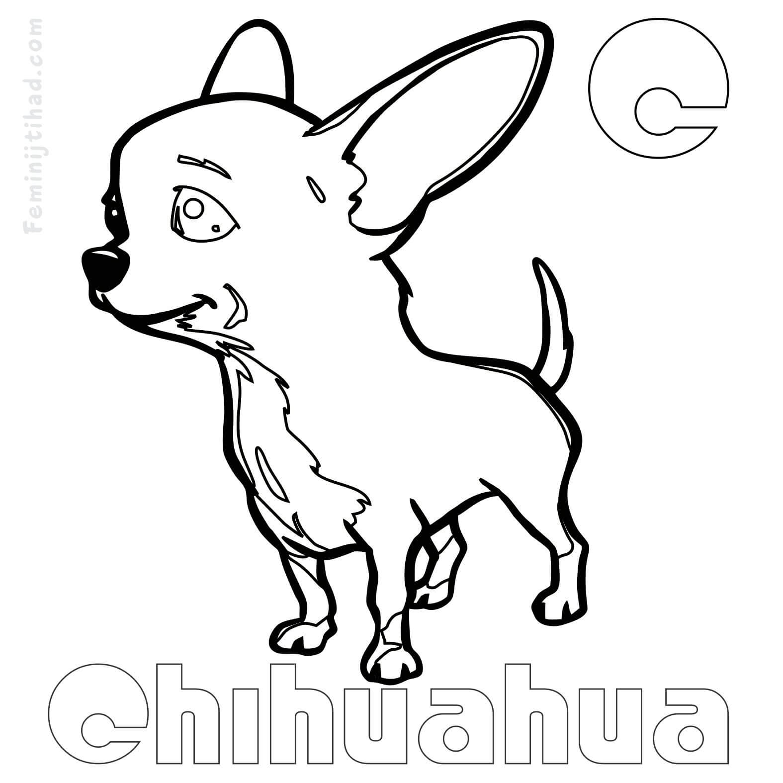 chihuahua coloring pages print