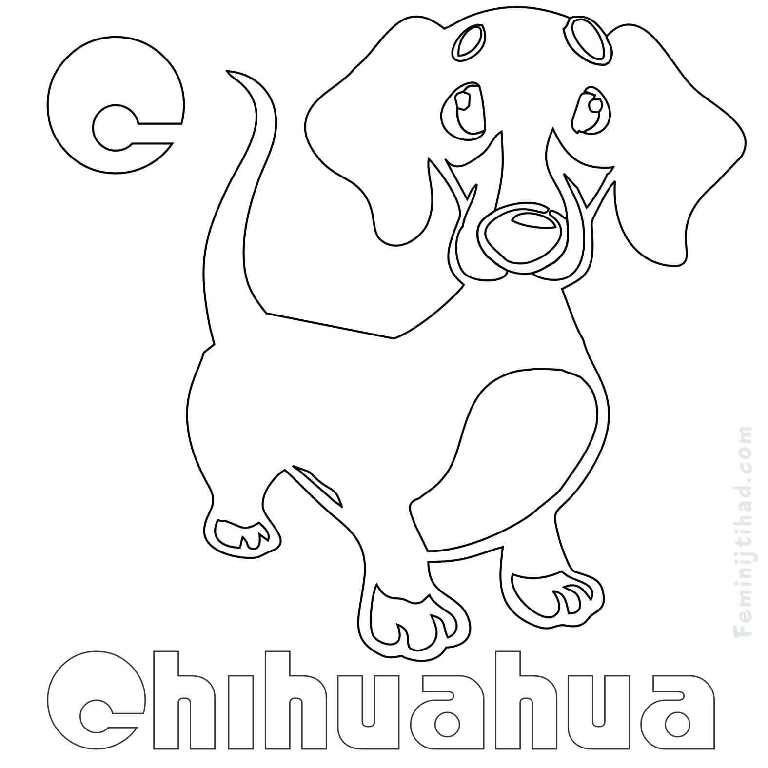 chihuahua puppy coloring page