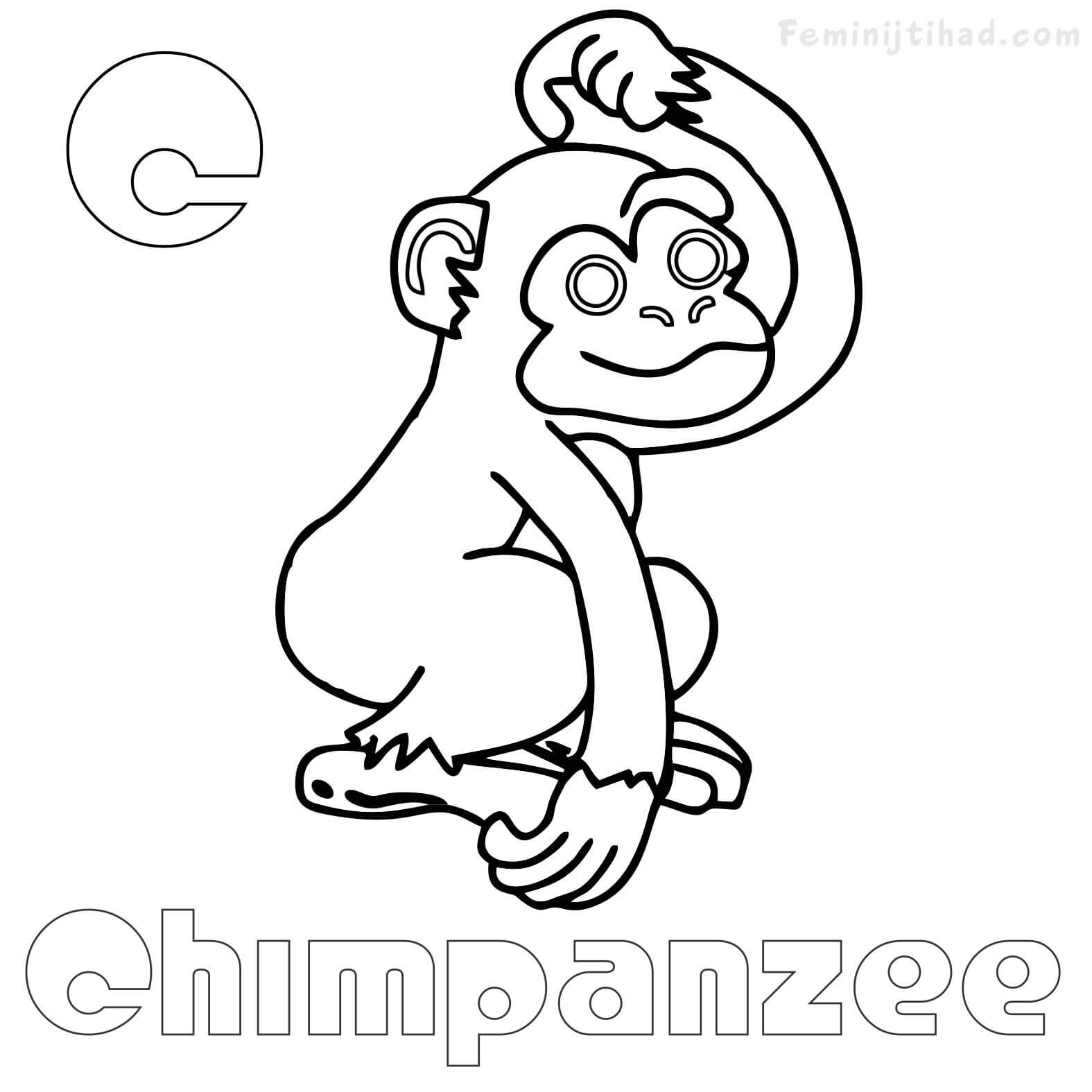 chimpanzee coloring pages free