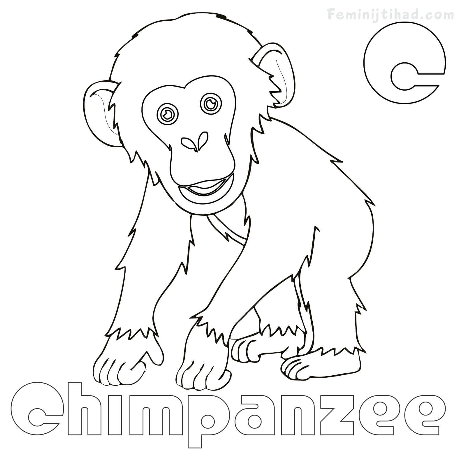 chimpanzee coloring pages online