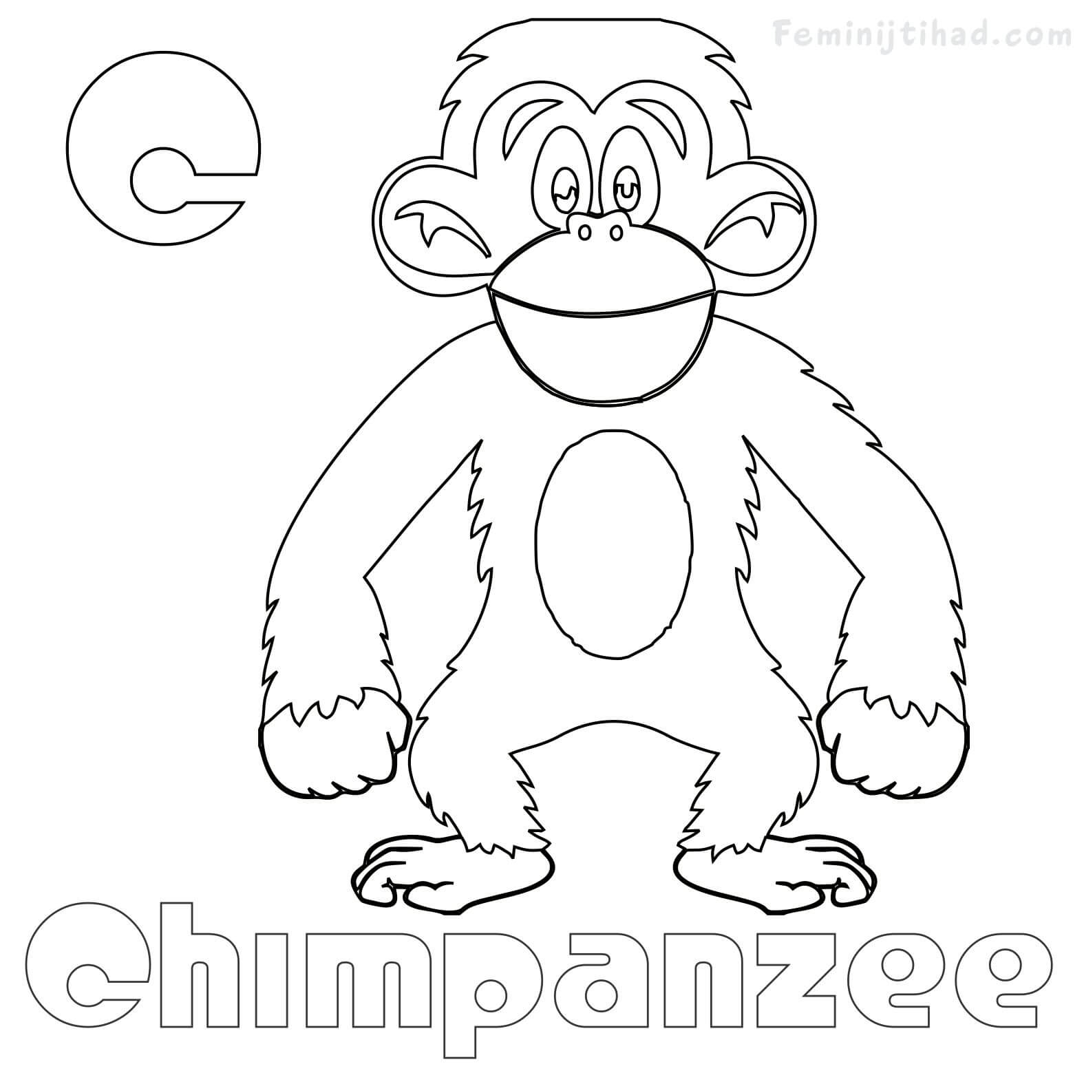 chimpanzee coloring pages printable