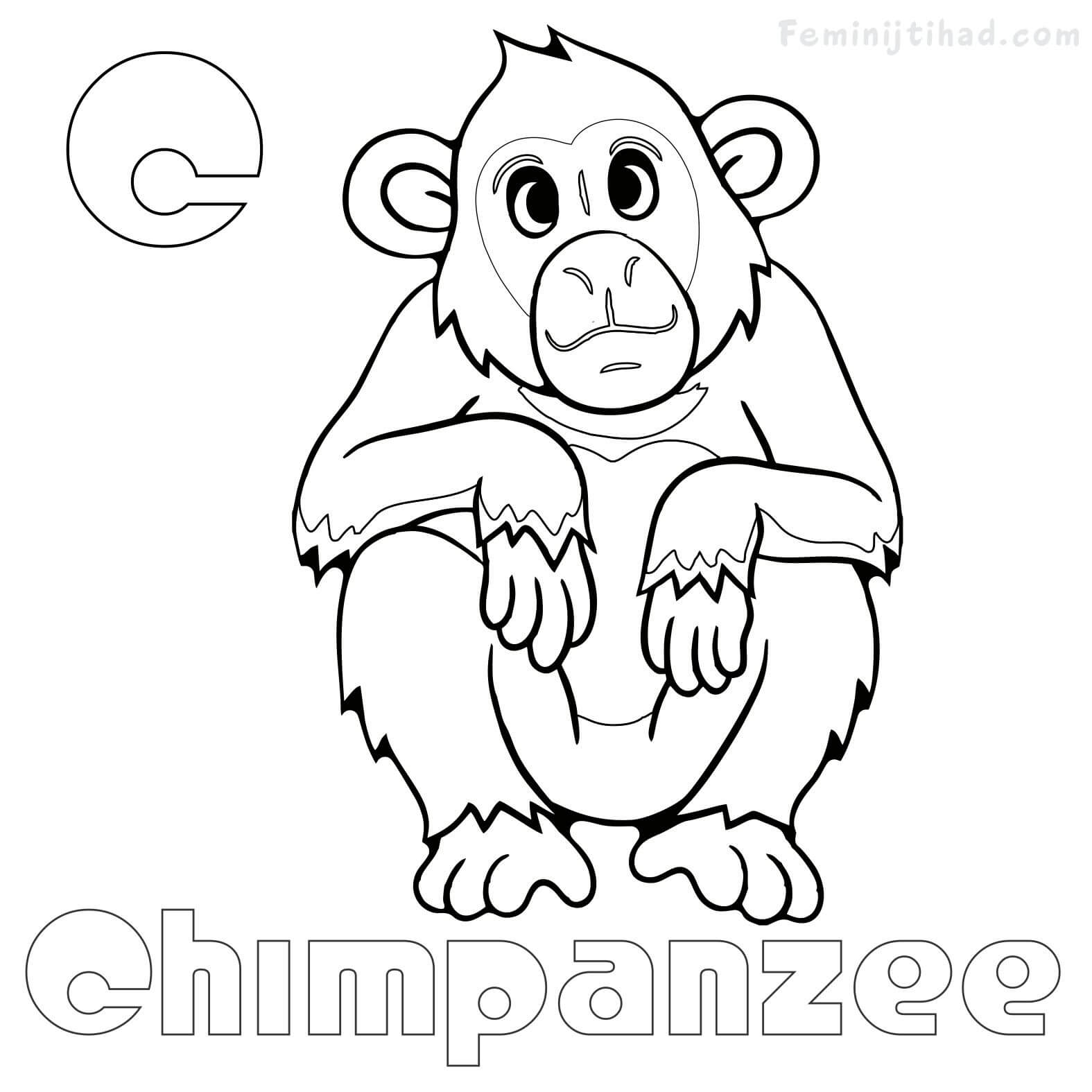 chimpanzee coloring pages to print