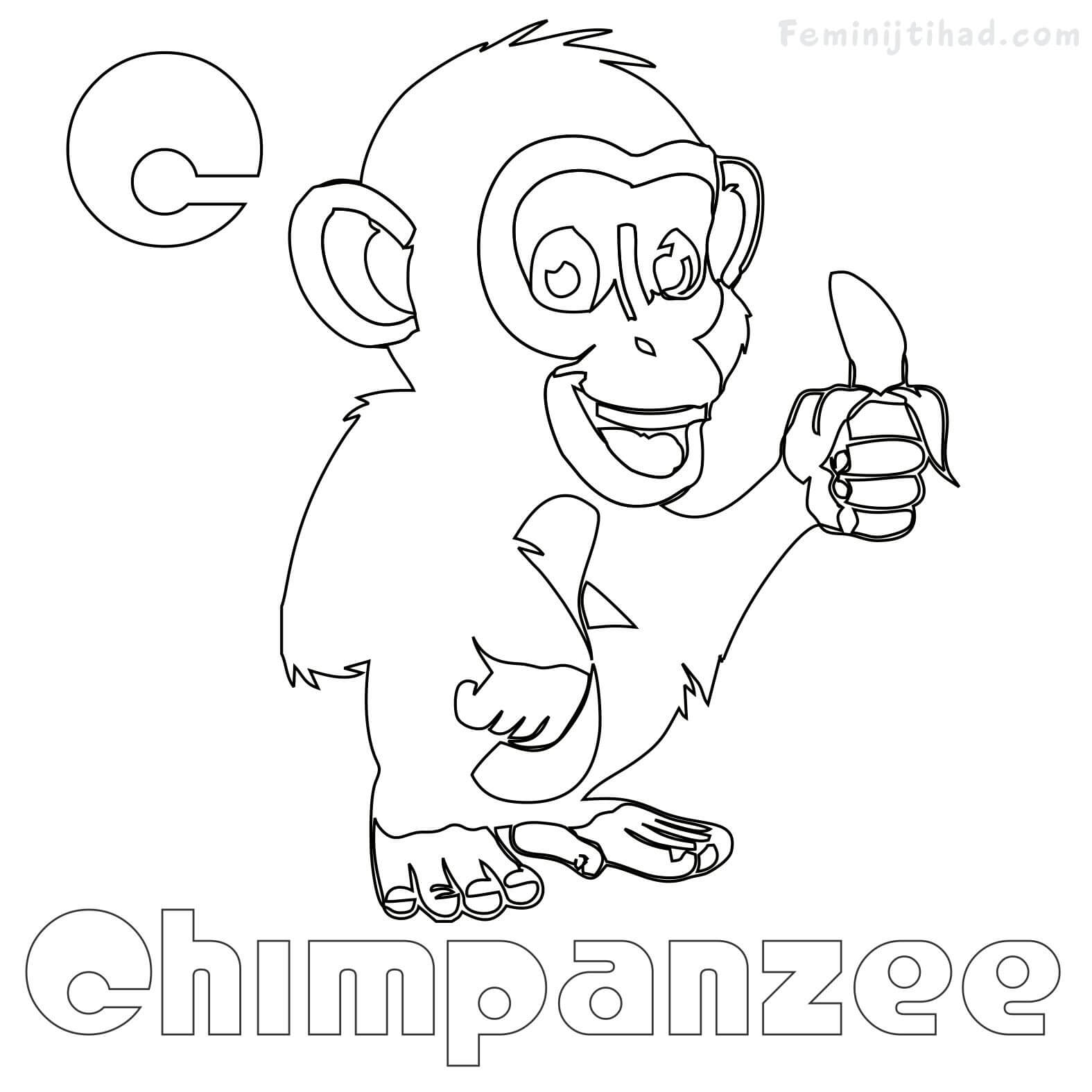 chimpanzee eat banana coloring pages