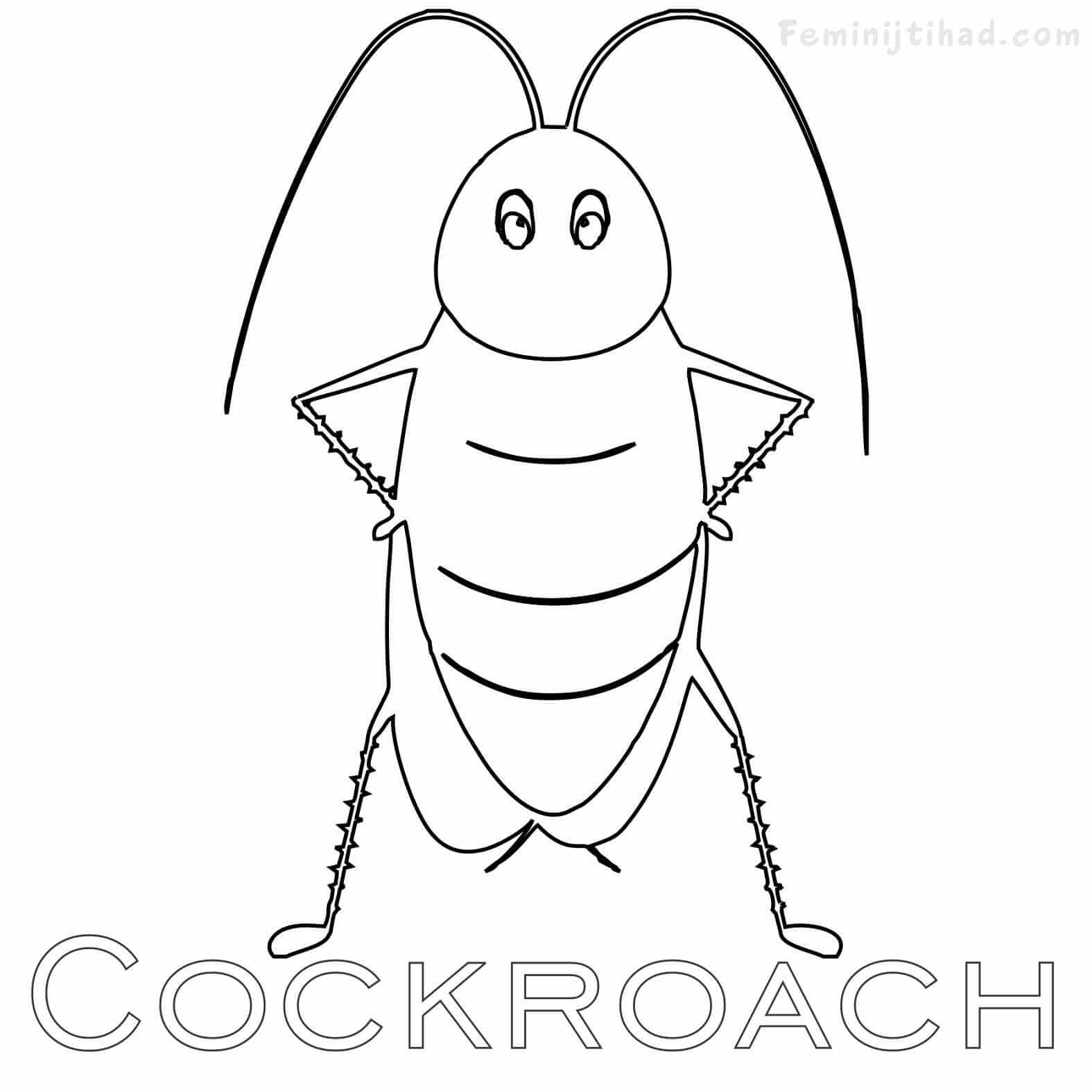 cockroach coloring page easy