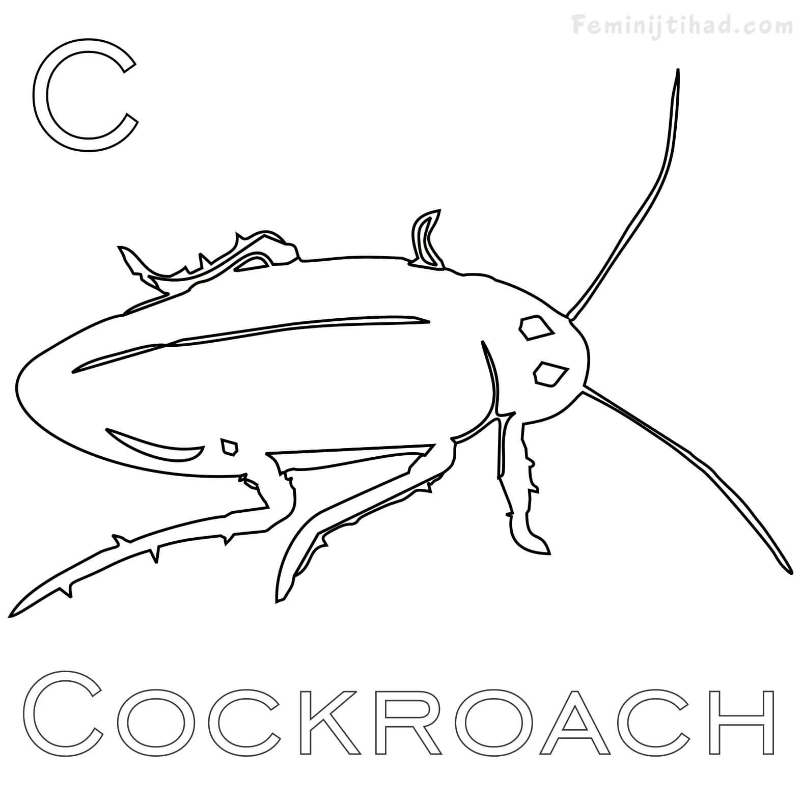 cockroach coloring page for toddler