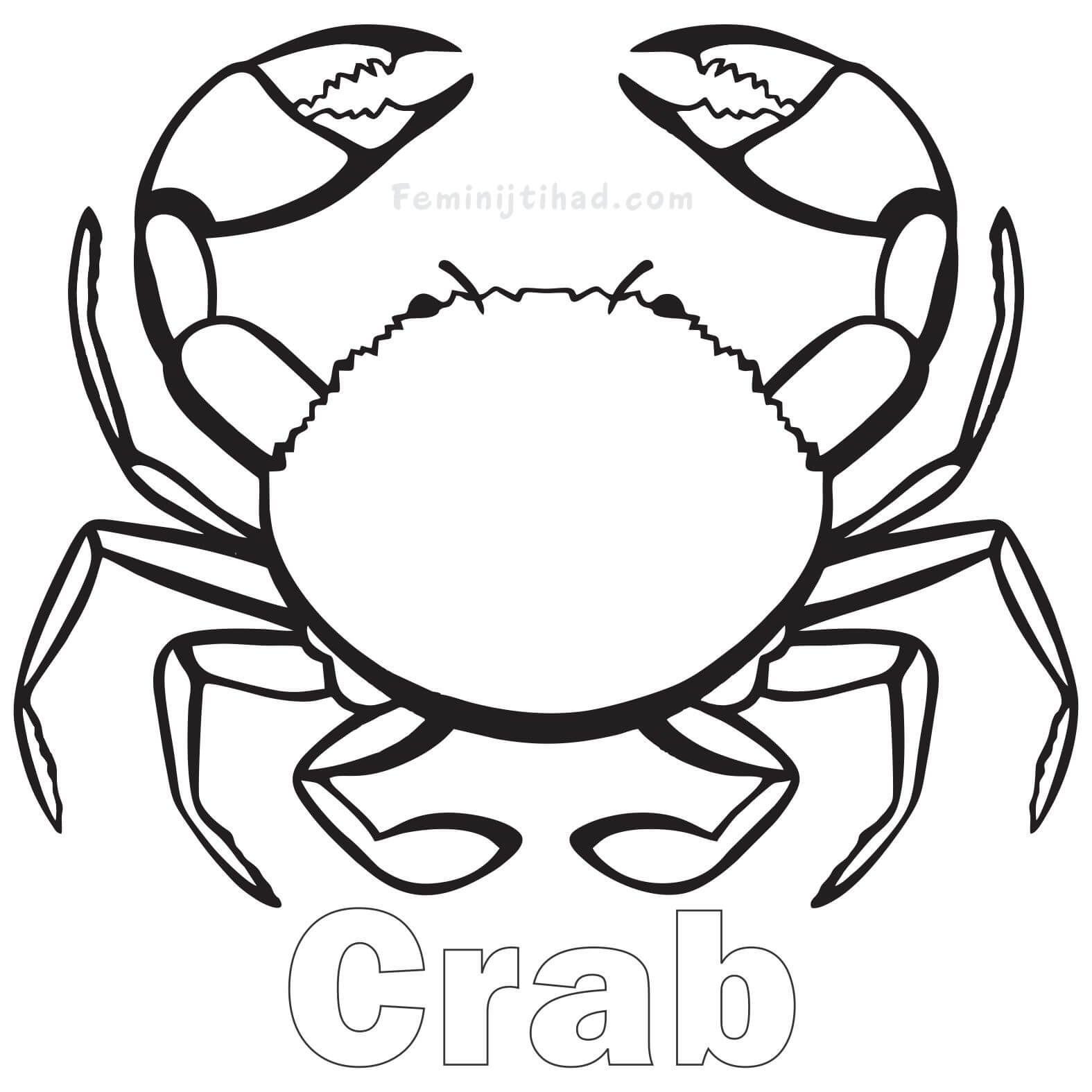 coloring page for crab