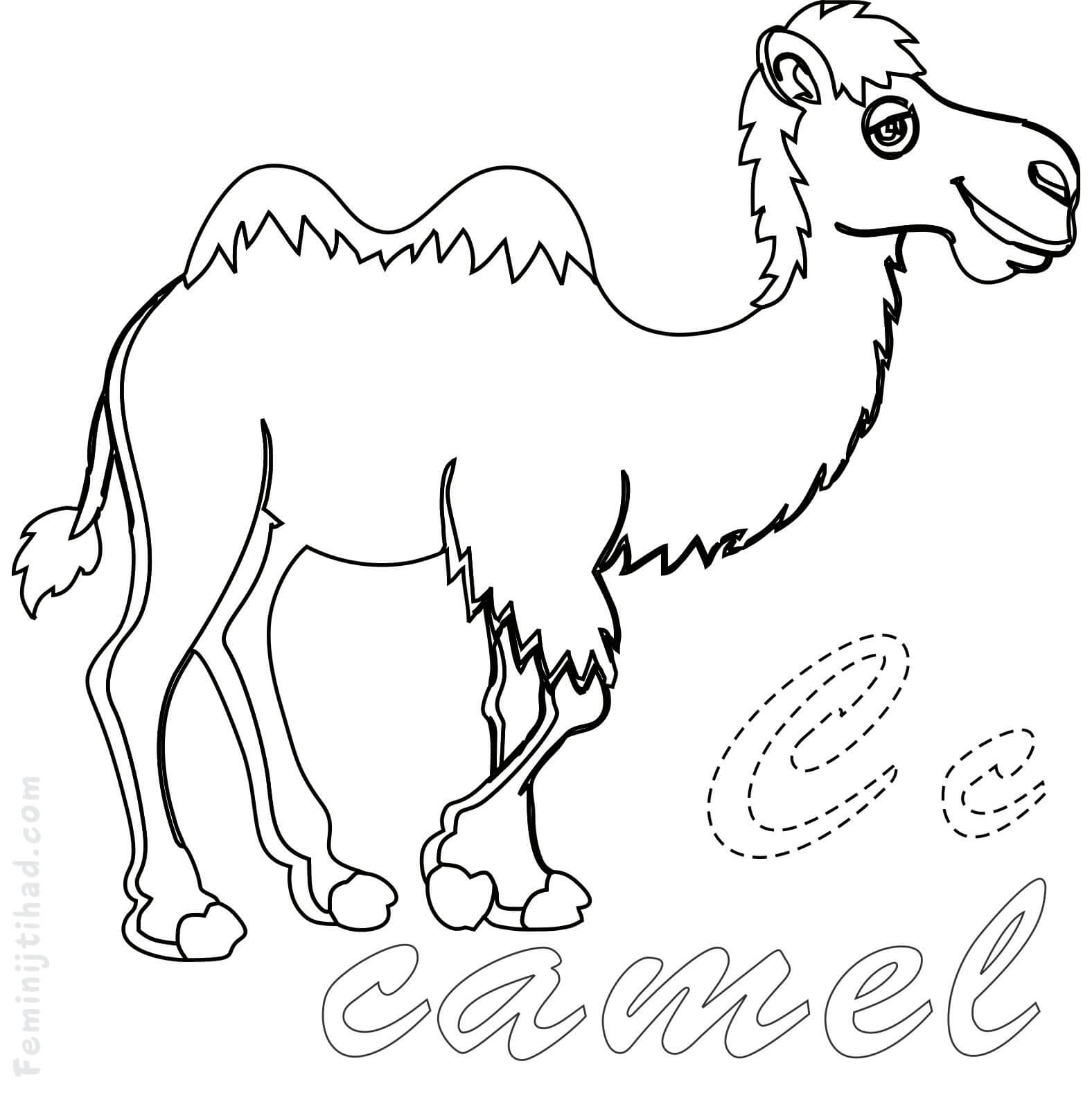 coloring page of a camel