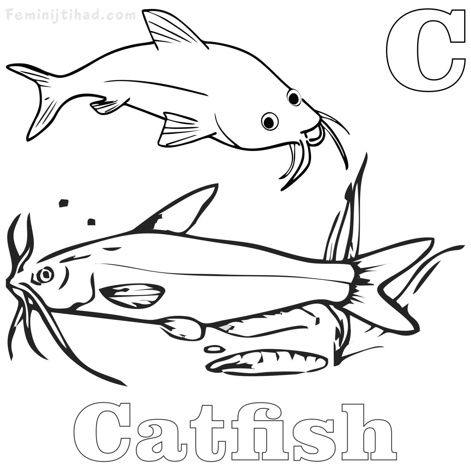 coloring page of a catfish