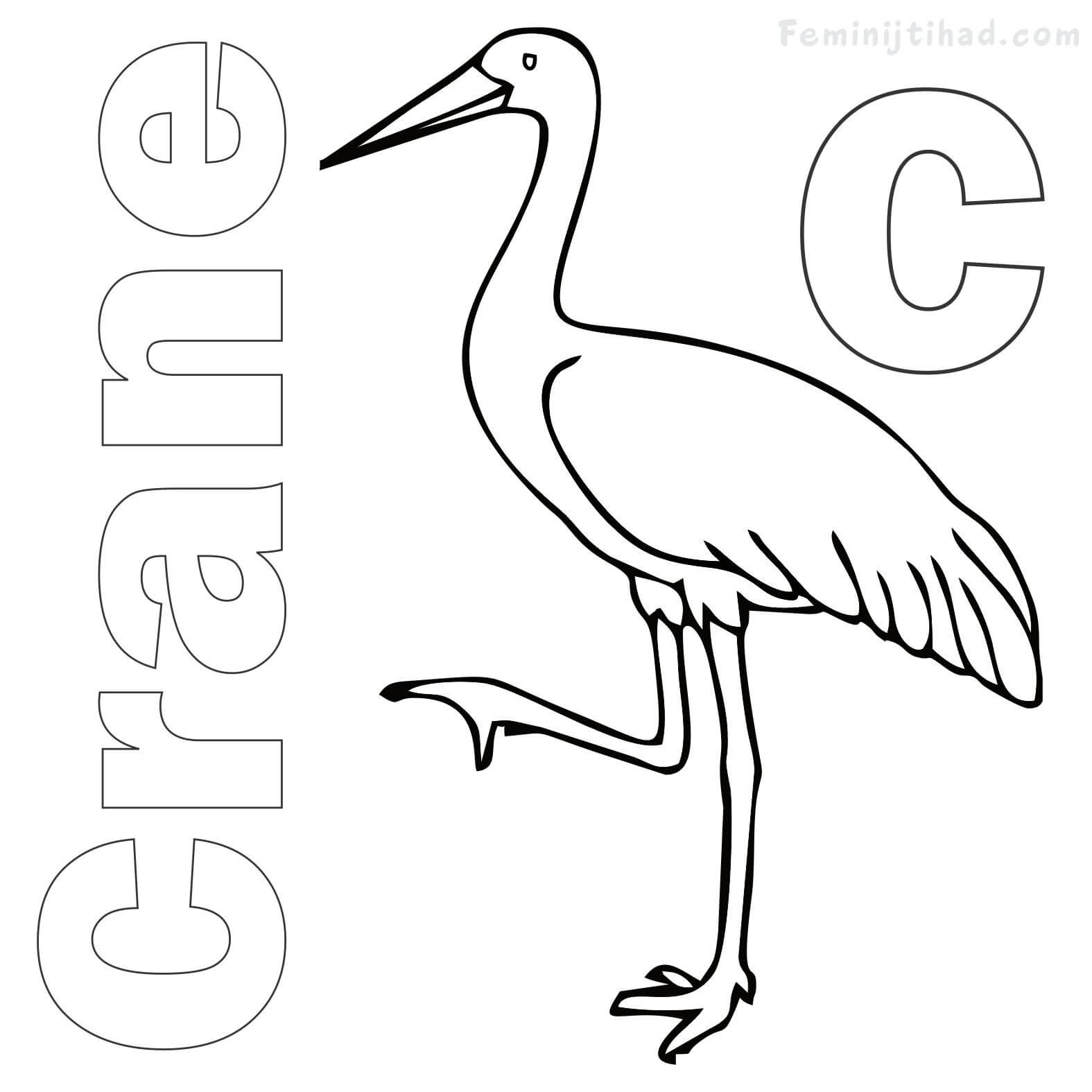 coloring page of a crane