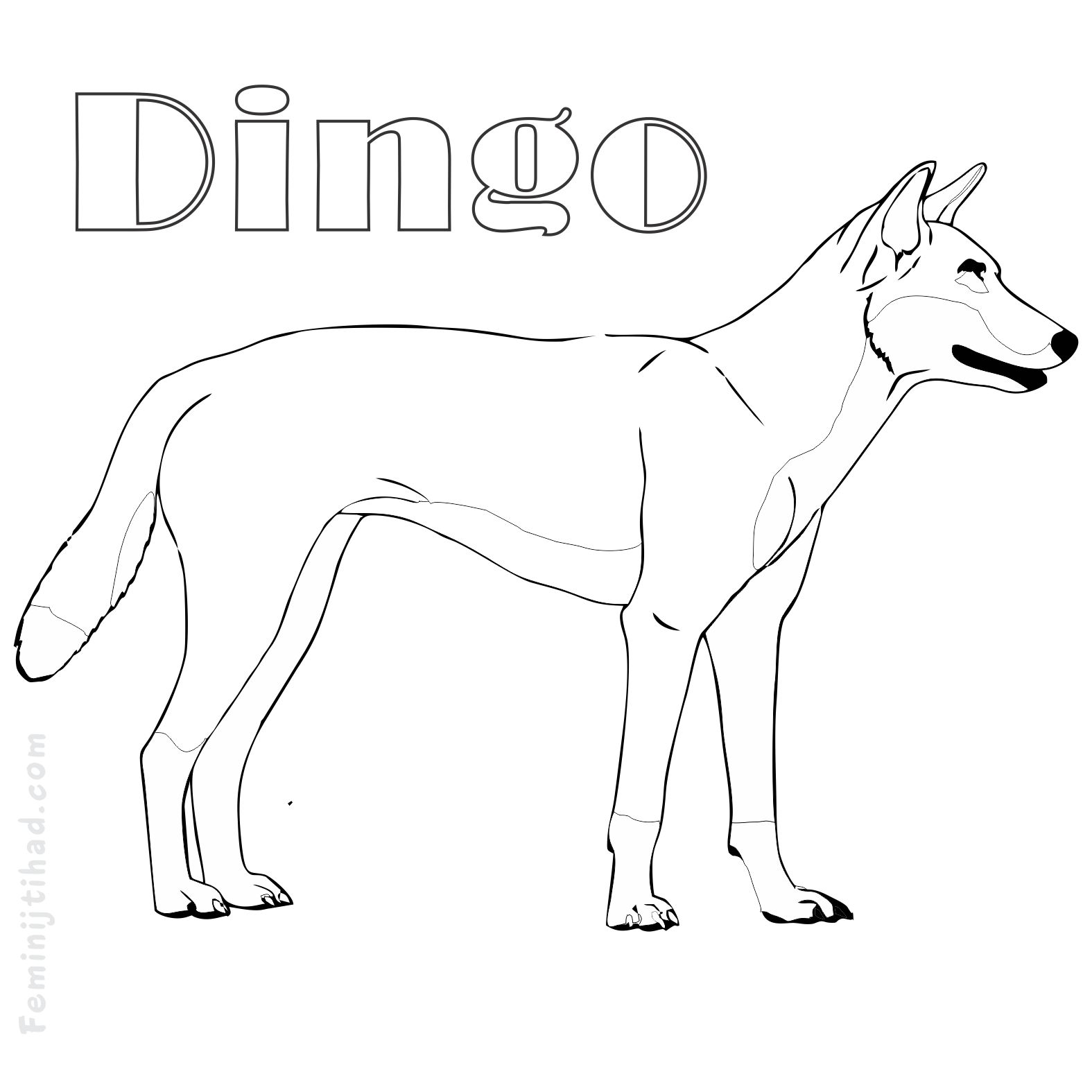 coloring page of a dingo free