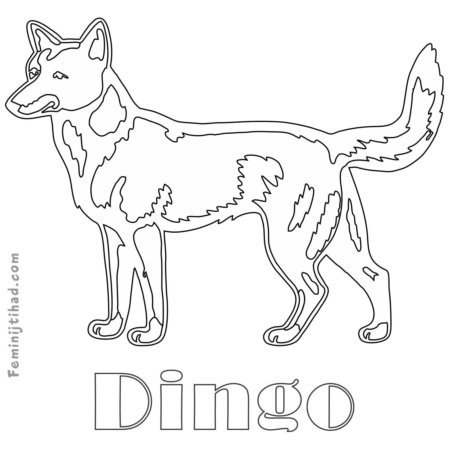 coloring page of a dingo printable