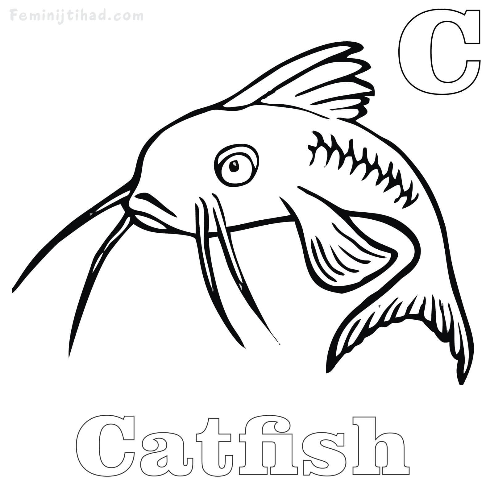coloring page of catfish