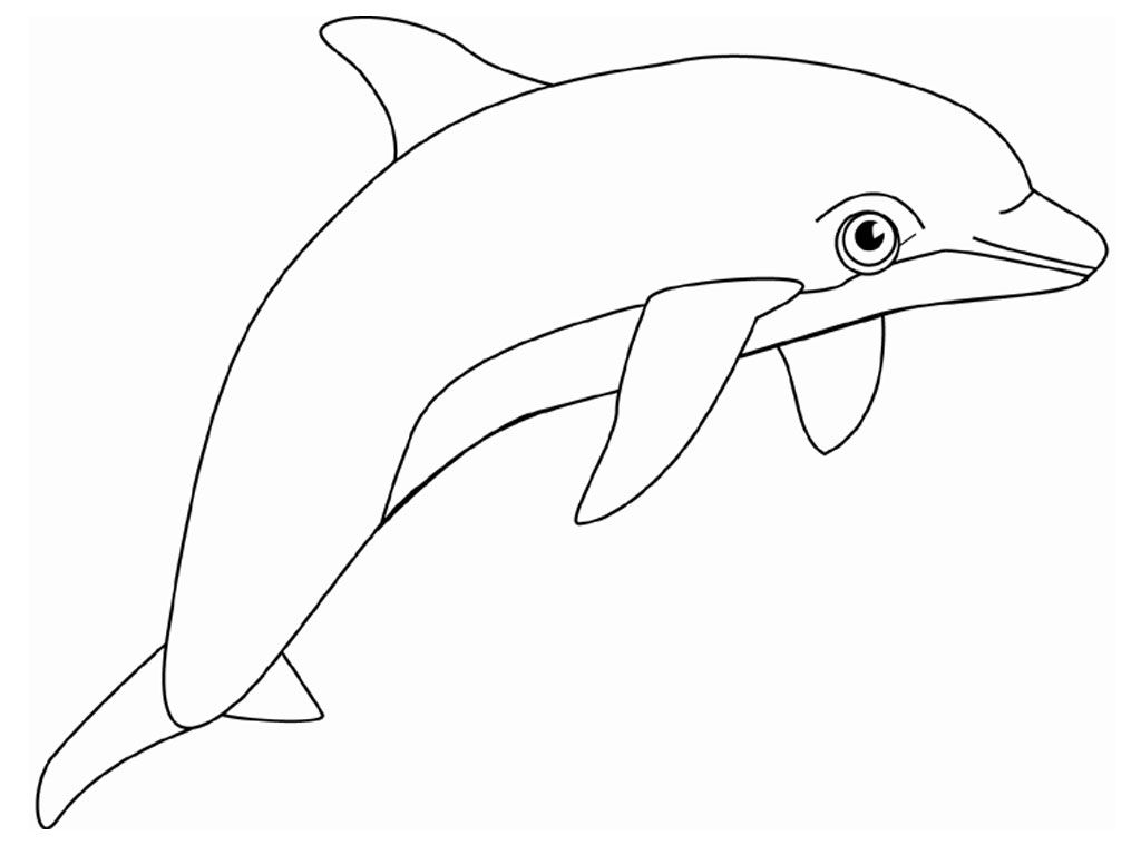 cdn./do/lp/dolphin-coloring-book-d.