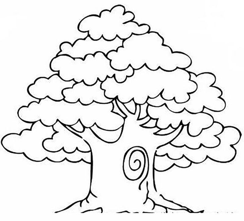 coloring pages fall tree