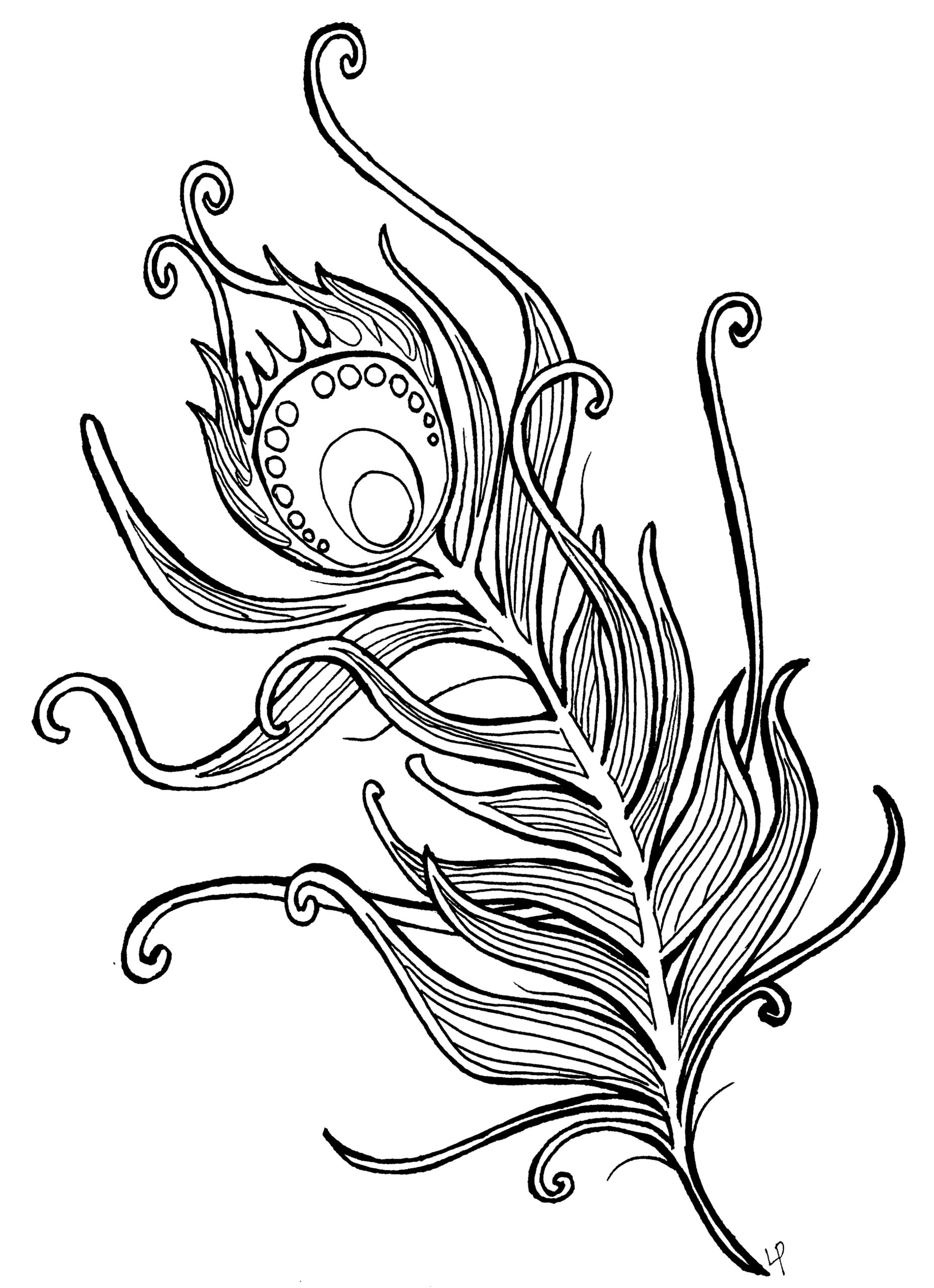 coloring pages for adults feather
