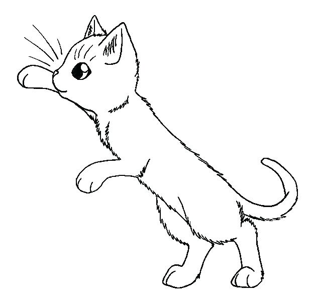 coloring pages kitten
