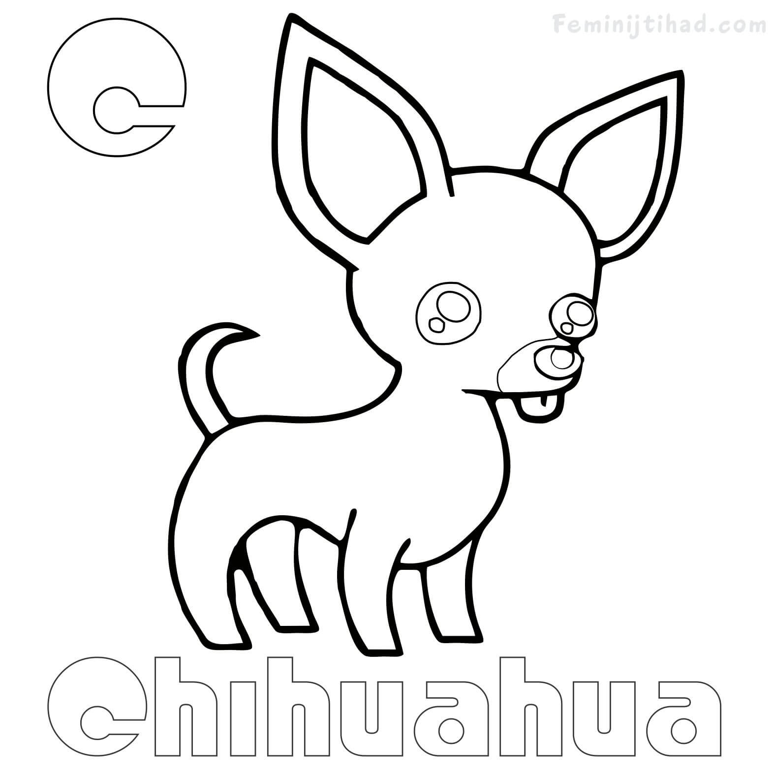 coloring pages of a chihuahua