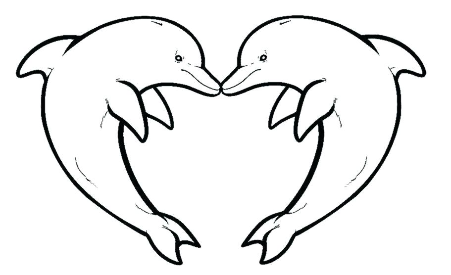 coloring pages of a dolphin