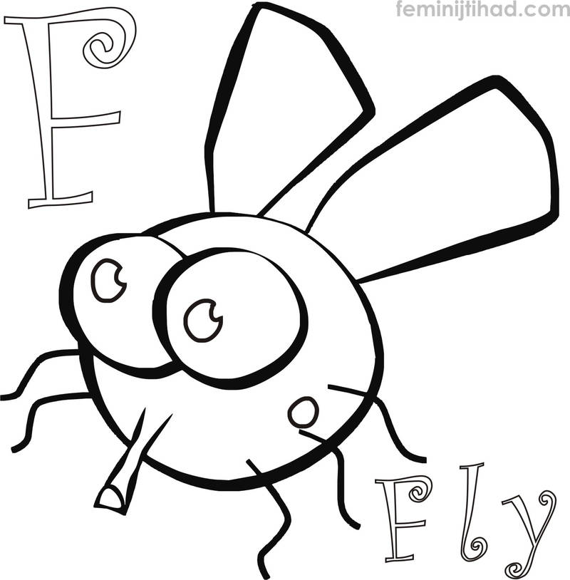 coloring pages of a fly