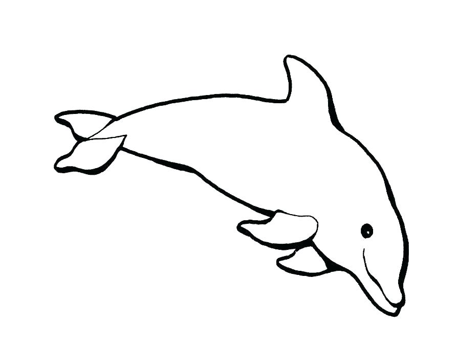 coloring pages of dolphin