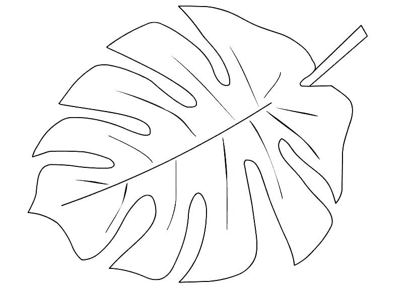 coloring pages of leaf shapes