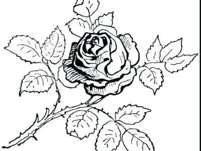 coloring pages of rose